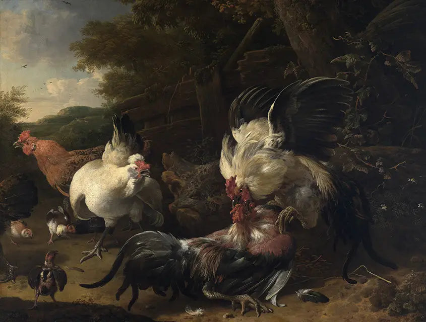 Combats de coqs - Melchior de Hondecoeter - Alpha Reproduction