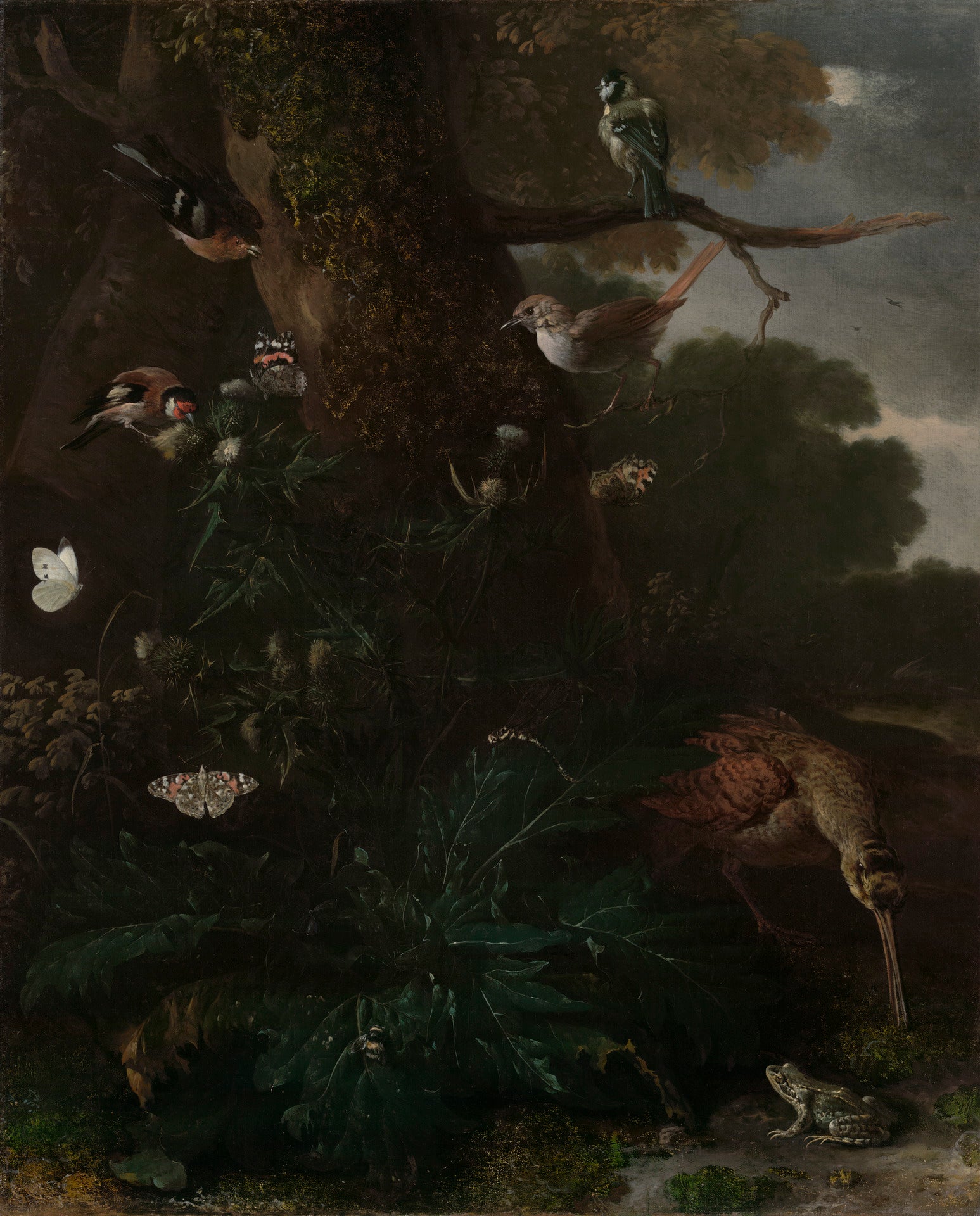 Animaux et plantes de la forêt - Melchior de Hondecoeter