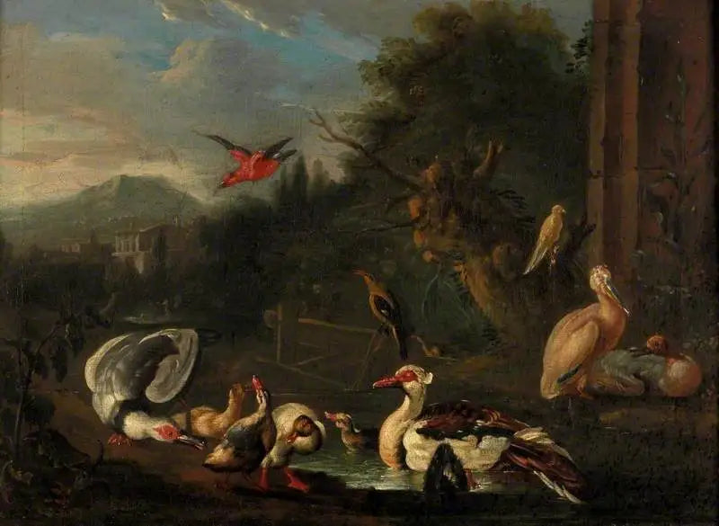 Siipikarja - Melchior de Hondecoeter