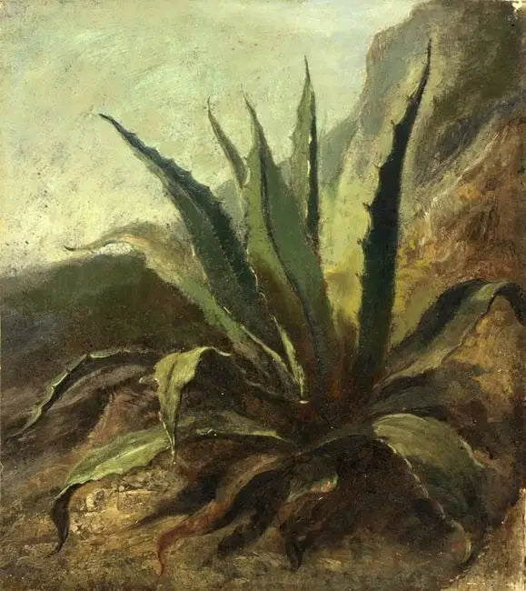 Agave Marokossa - Eugène Delacroix