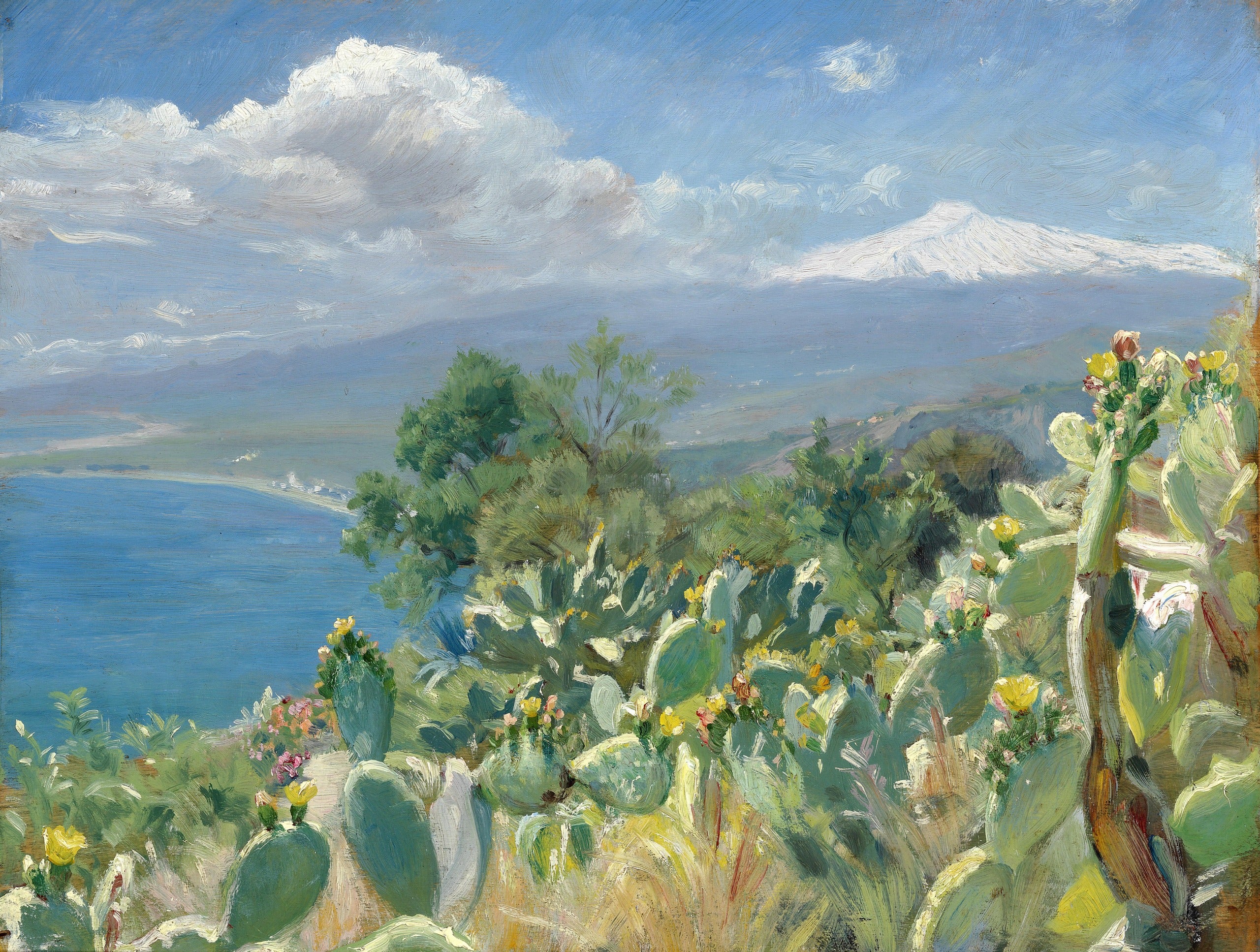 Kukkivat kaktukset lähellä Taorminaa. Taustalla lumipeitteinen Etna. - Peder Severin Krøyer