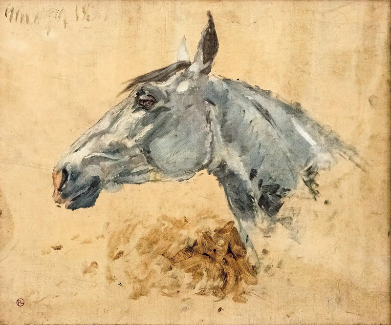 Valkoinen hevonen Gazelle - Henri de Toulouse-Lautrec