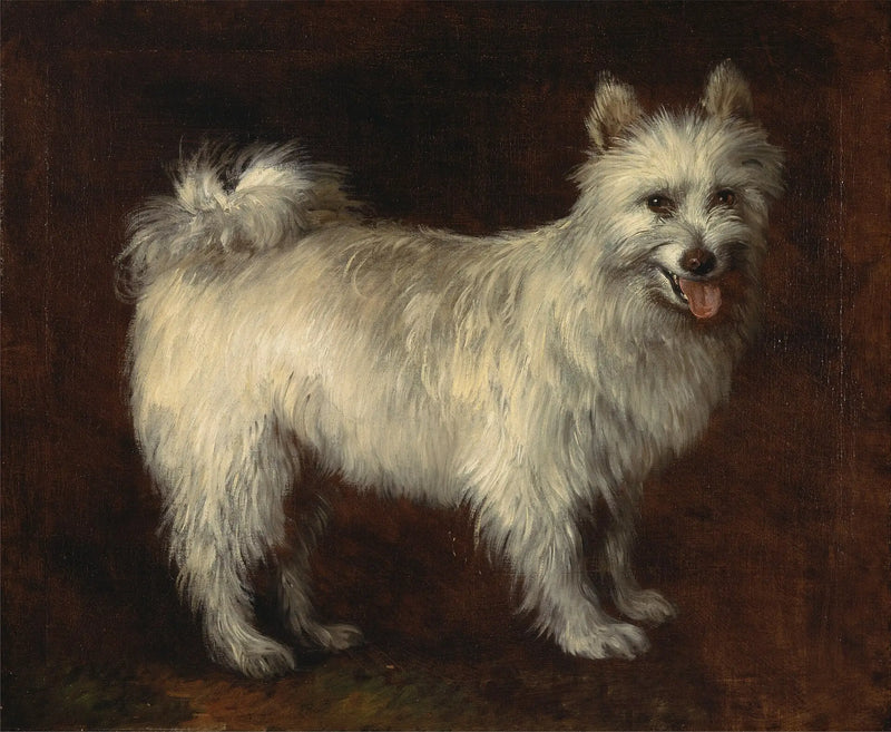 Spitz-koira - Thomas Gainsborough