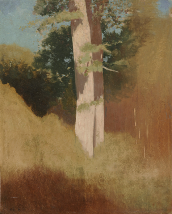 Arbres dans le ciel bleu - Odilon Redon