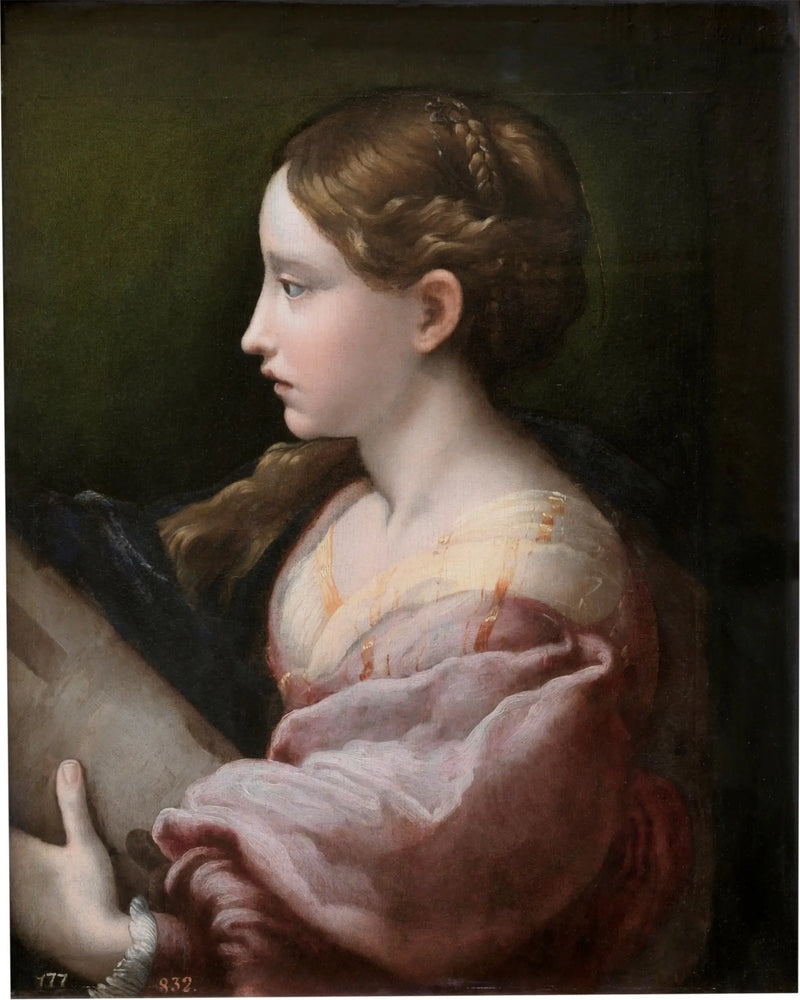 Pyhä Barbra - Parmigianino