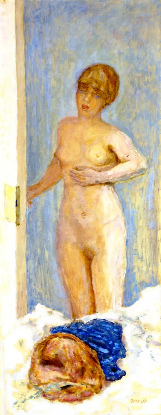 Nu toogassa - Pierre Bonnard