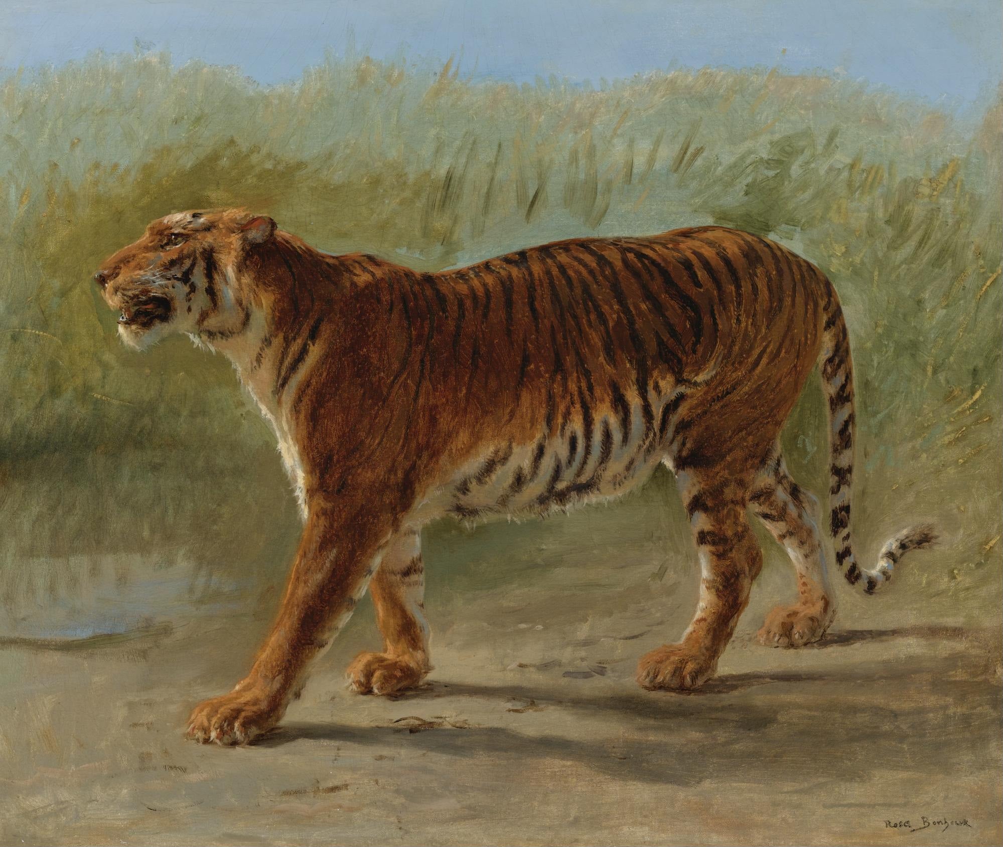 Tigre royal dans la jungle - Rosa Bonheur