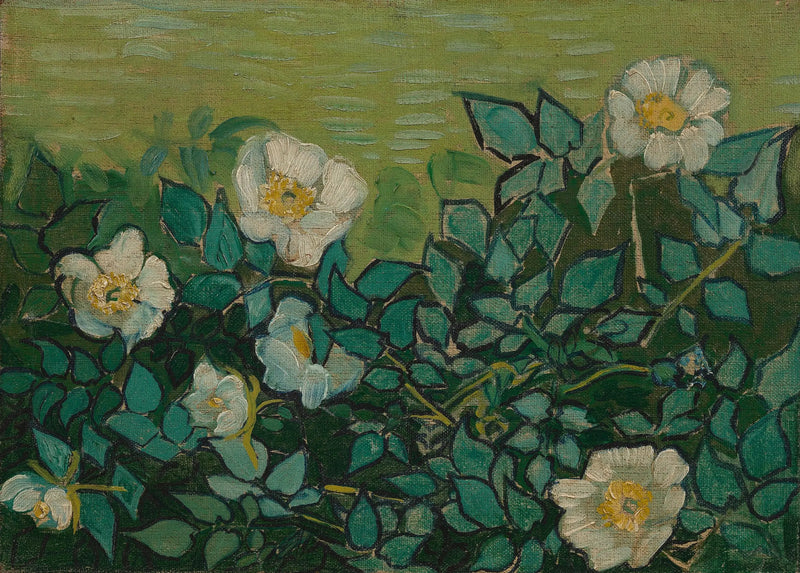 Villiruusut - Vincent van Gogh