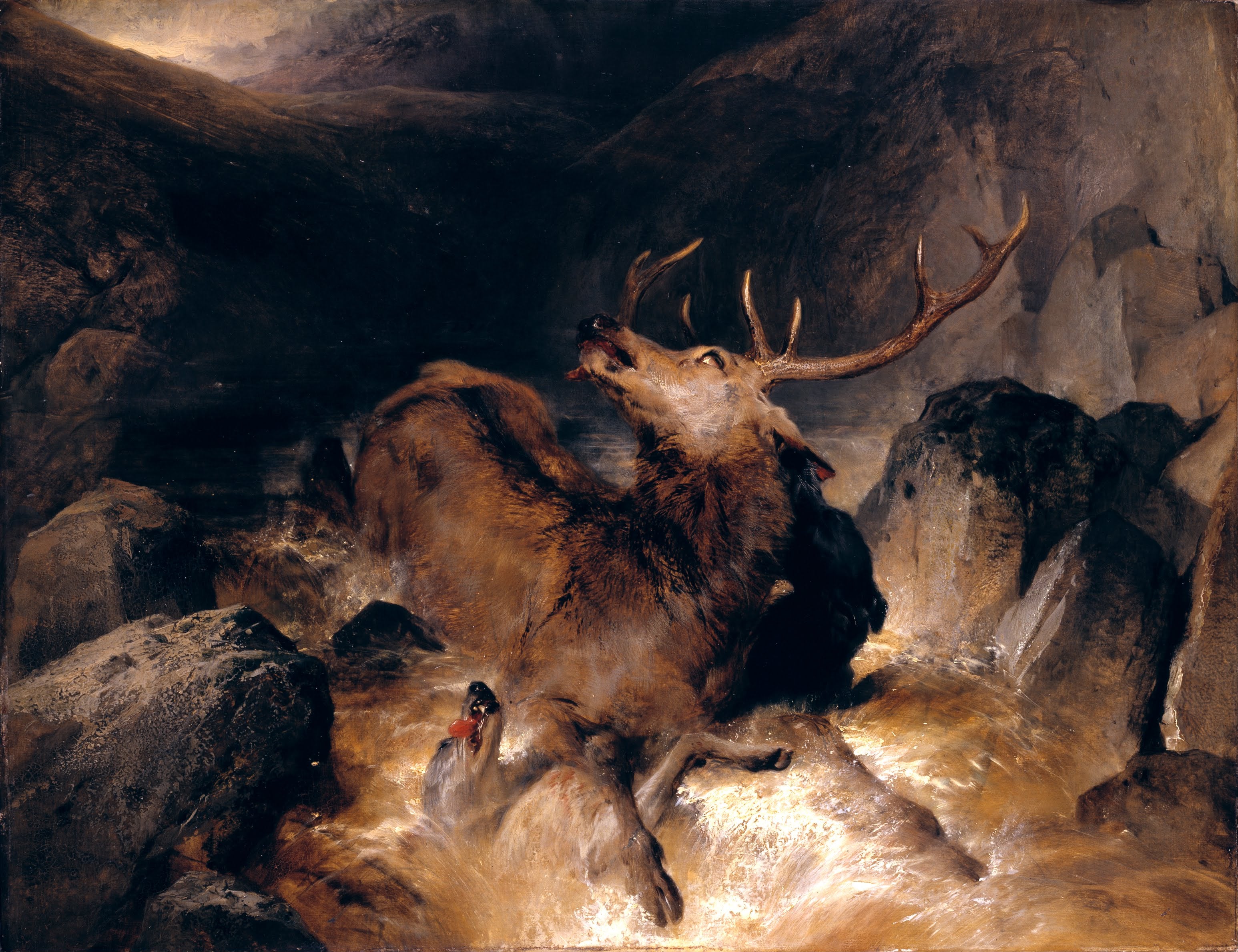 Cerfs et chiens de chasse dans un torrent de montagne - Edwin Henry Landseer