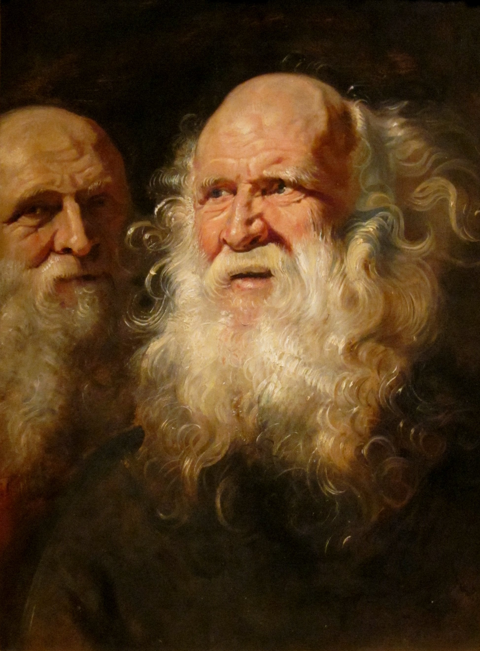 Kaksi partaista vanhusta - Peter Paul Rubens