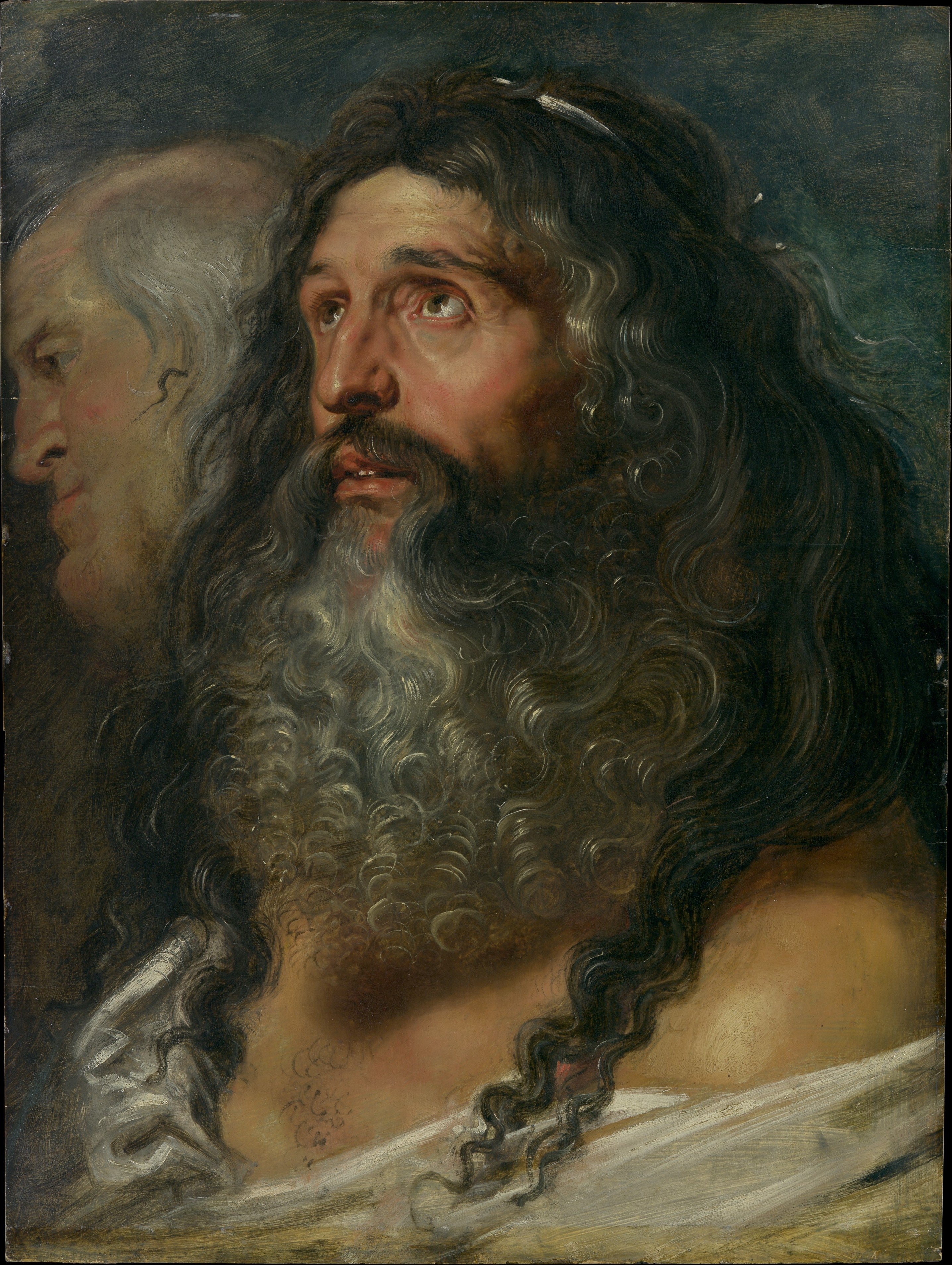 Kaksi pään tutkimus - Peter Paul Rubens