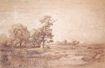 Plaine avec mare et arbres - Théodore Rousseau