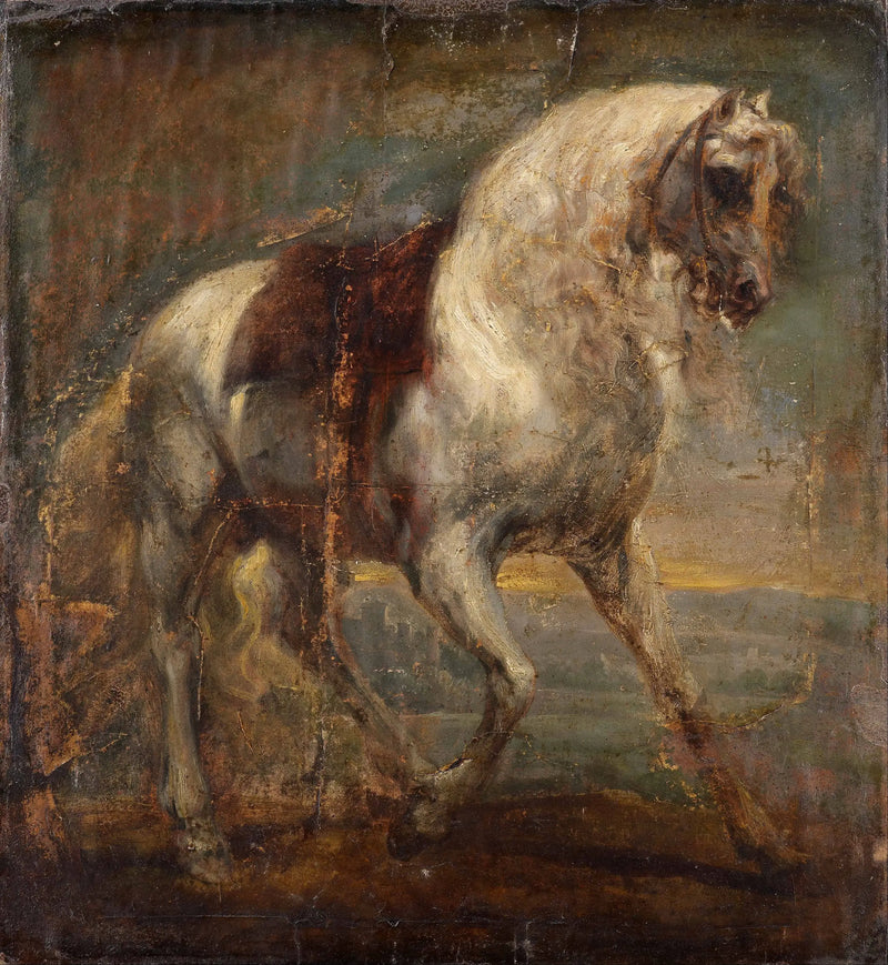 Harmaa hevonen - Antoine van Dyck