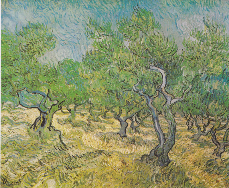 Oliivipuutarha - Vincent van Gogh