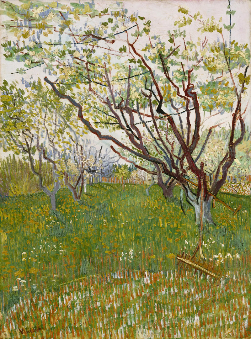 Kukkiva hedelmätarha - Vincent van Gogh