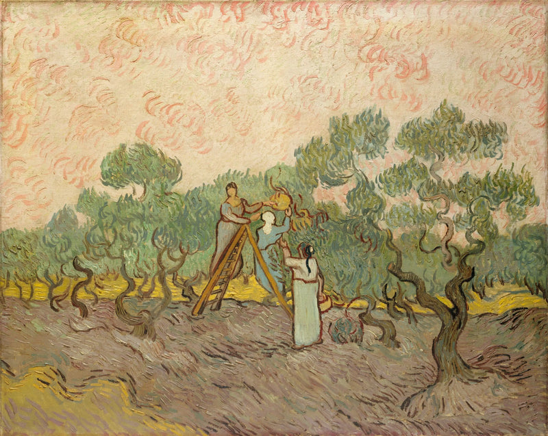 Naiset keräämässä oliiveja - Vincent van Gogh