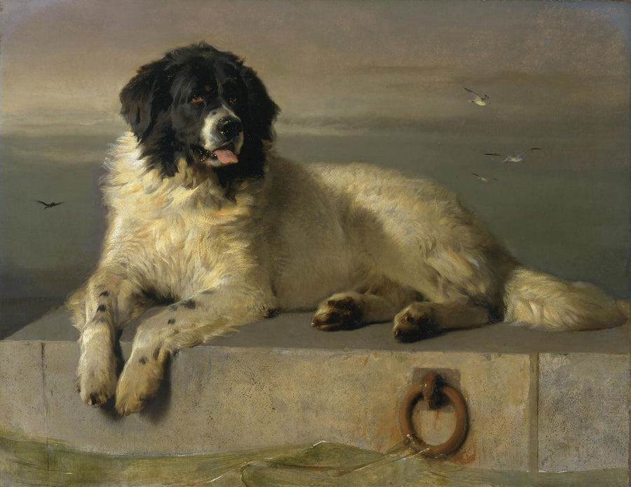 Un membre distingué de la Société protectrice des animaux - Edwin Landseer
