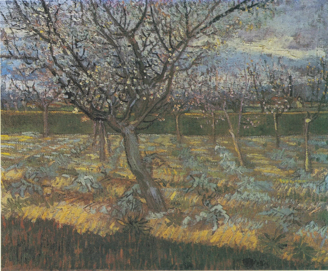 Kukassa olevat aprikoosipuut - Vincent van Gogh