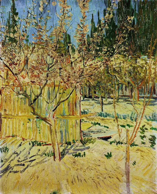 Kukassa olevat aprikoosipuut - Vincent van Gogh