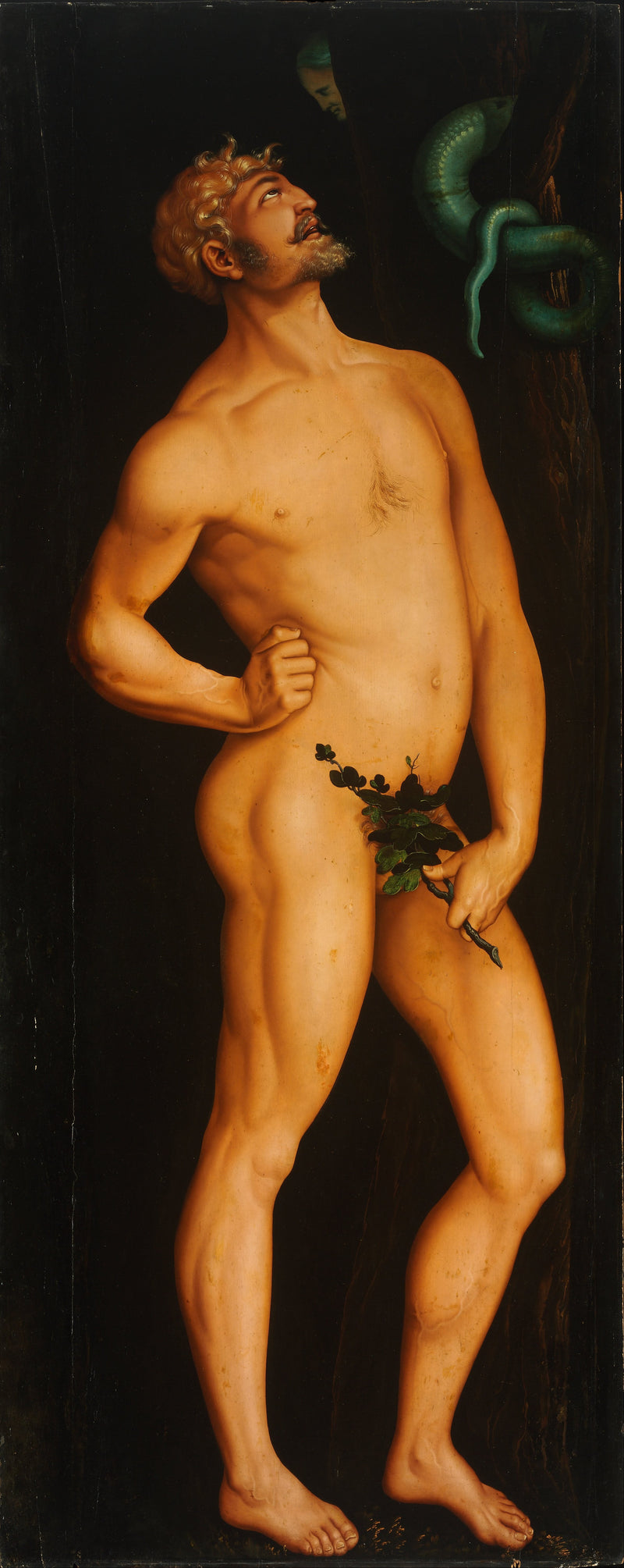 Adam - Hans Baldung Grien