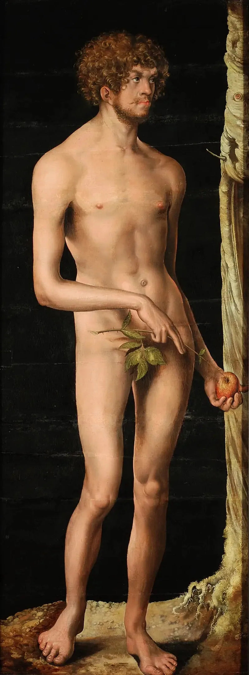 Adam - Lucas Cranach van Olden