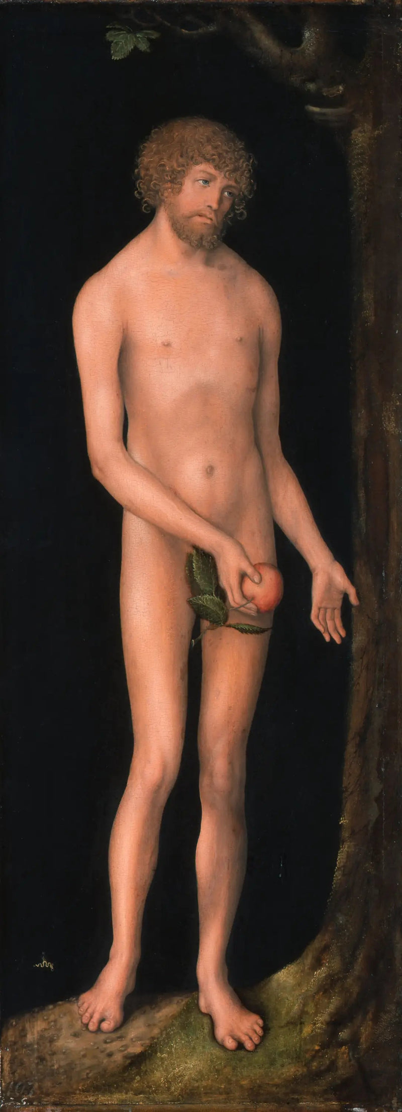 Adam - Lucas Cranach van Elder