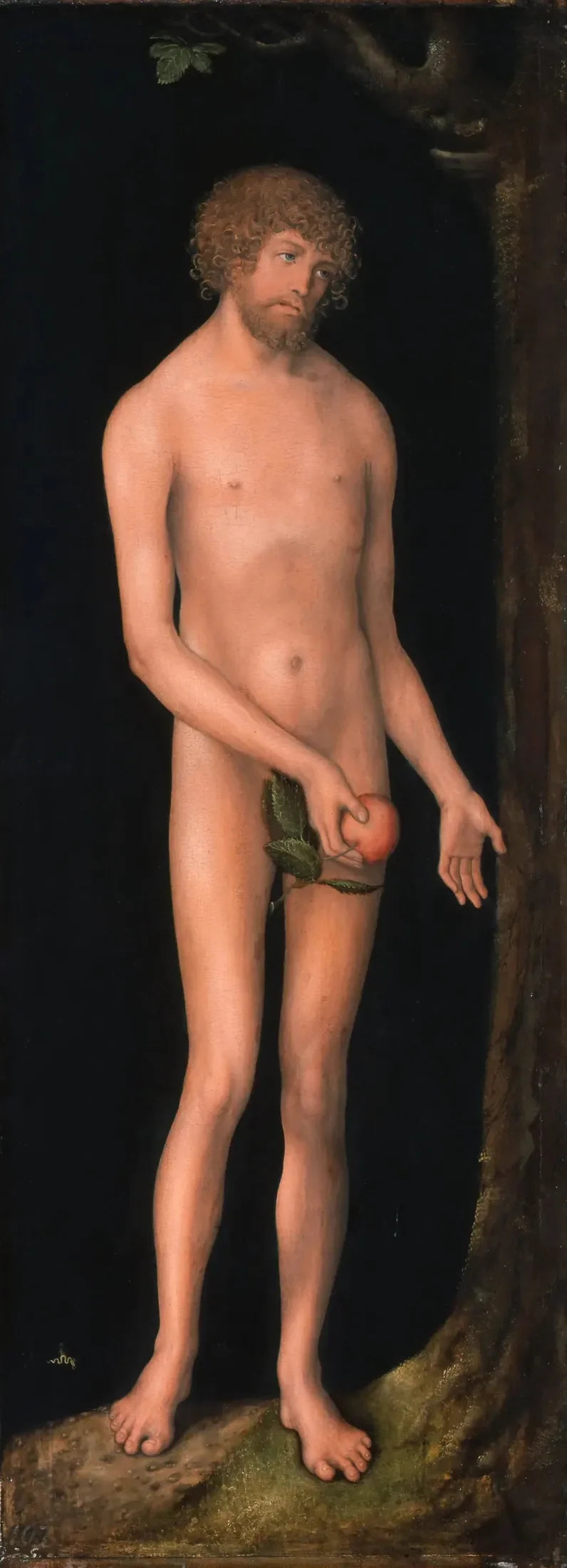Adam - Lucas Cranach van Elder
