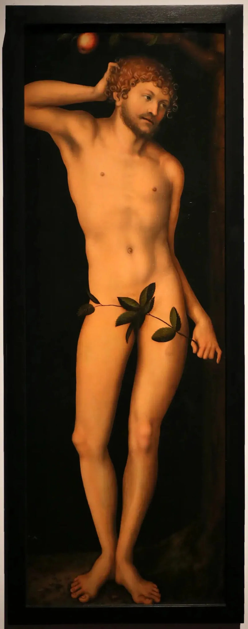 Adam - Lucas Cranach van Elder