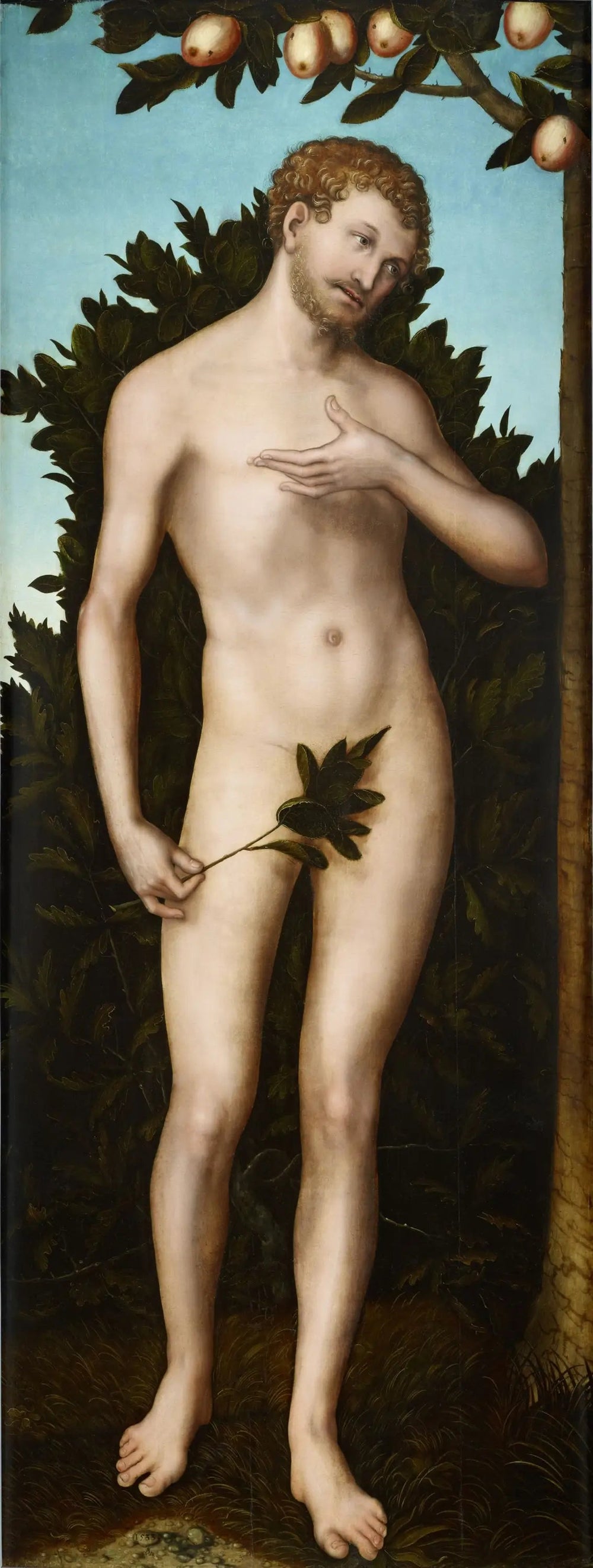 Adam - Lucas Cranach the Elder image 1 copie peinte à la main à l’huile