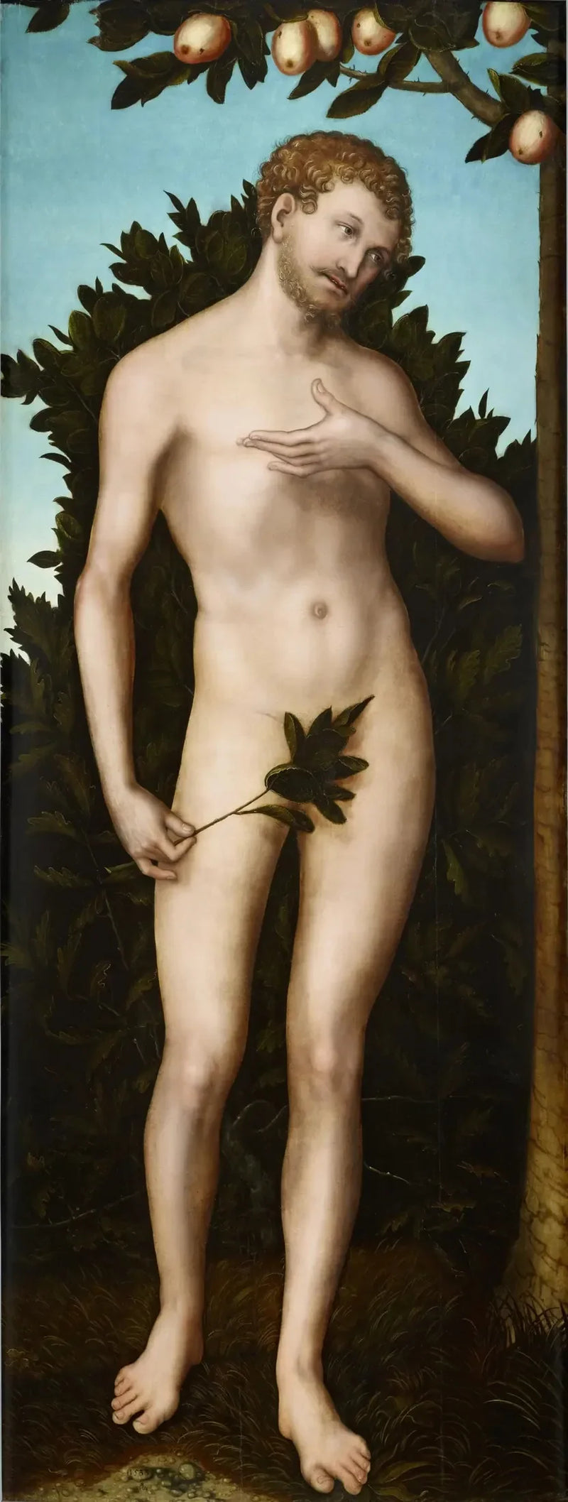 Adam - Lucas Cranach vanhurskas