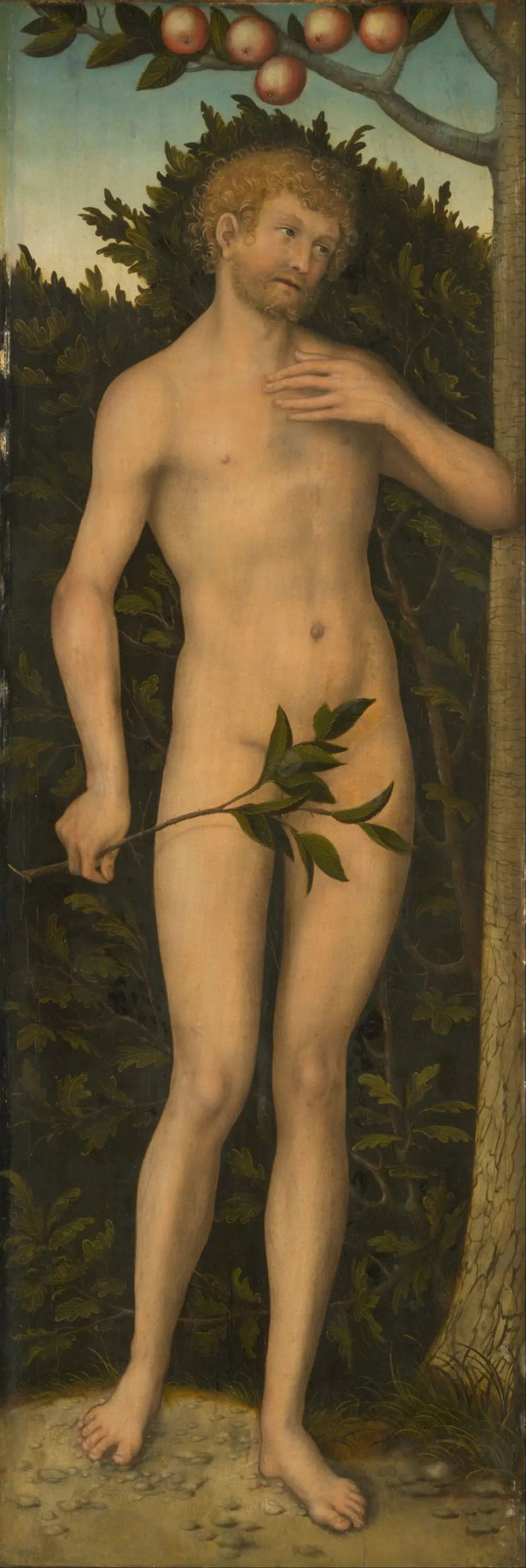 Adam - Lucas Cranach vanhurskas