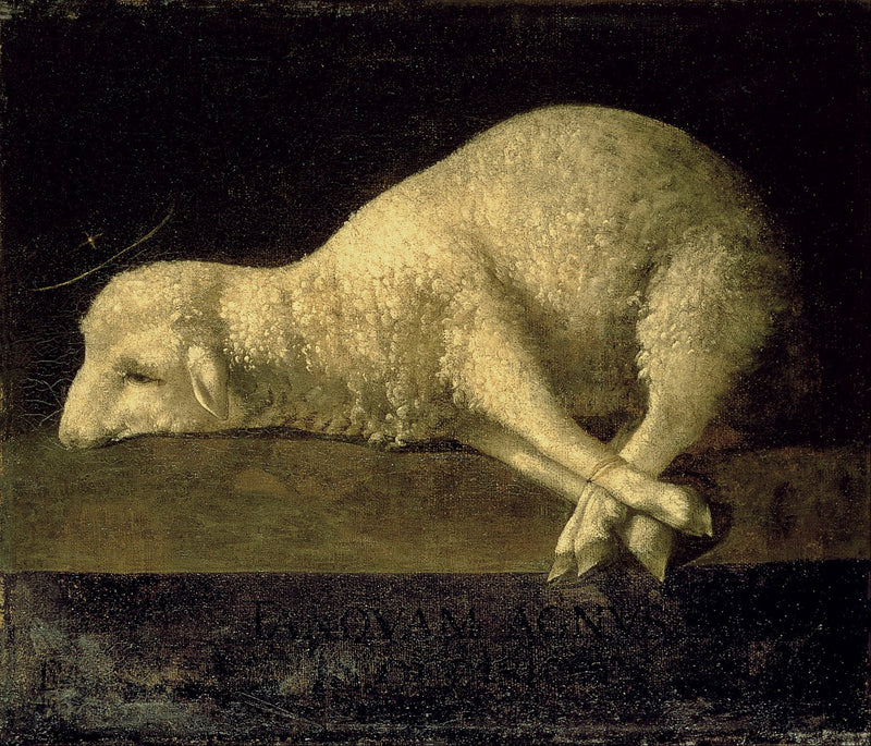 Agnus Dei (1639) - Francisco de Zurbarán