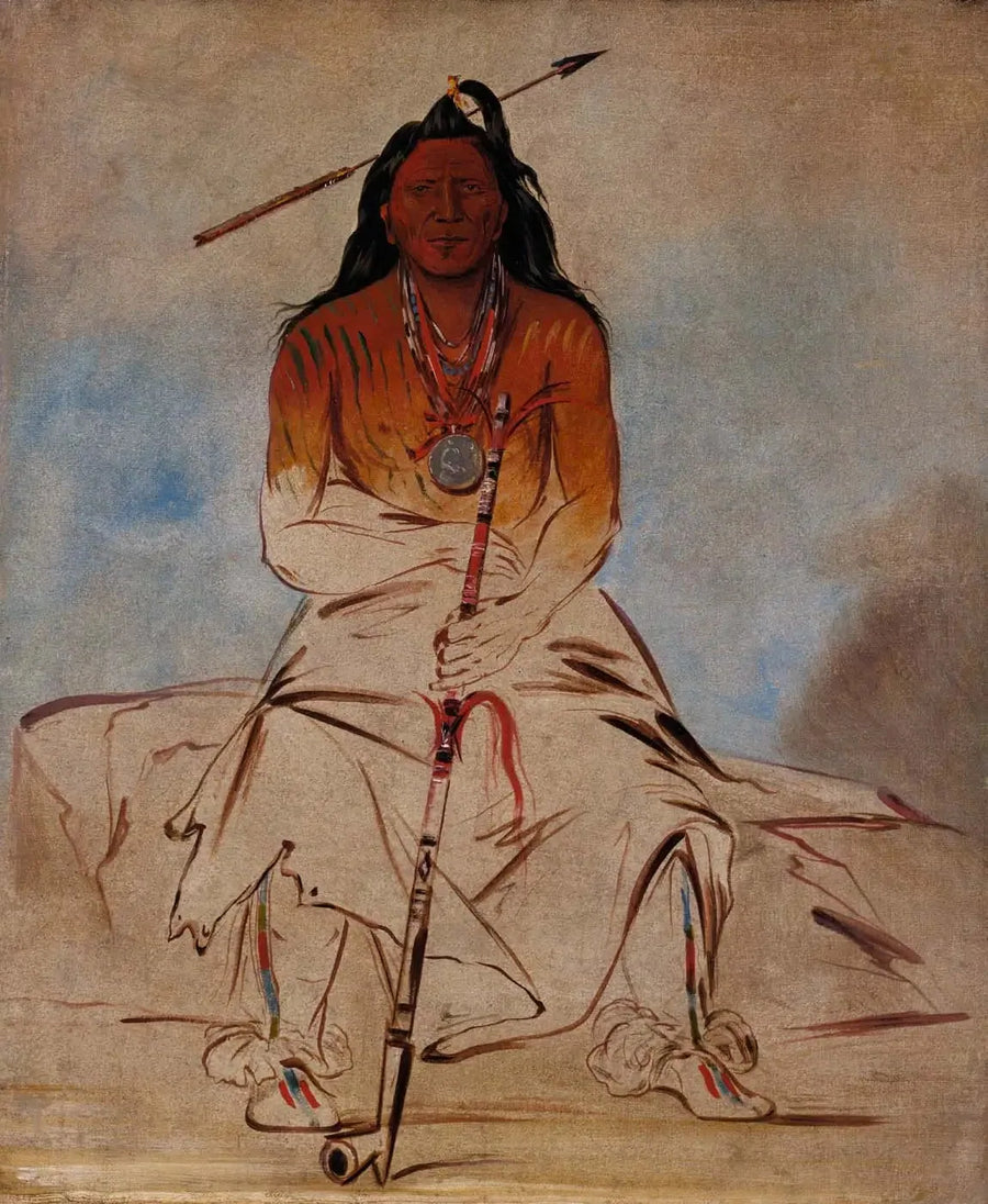 Ah-sháw-wah-róoks-te, lääketieteellinen hevonen, suuri rohkea Pawnee - George Catlin
