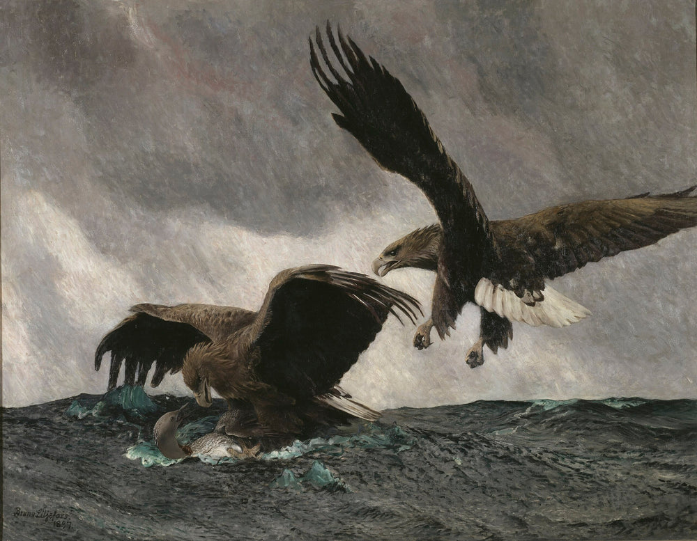 Aigles de mer - Bruno Liljefors image 1 copie peinte à la main à l’huile