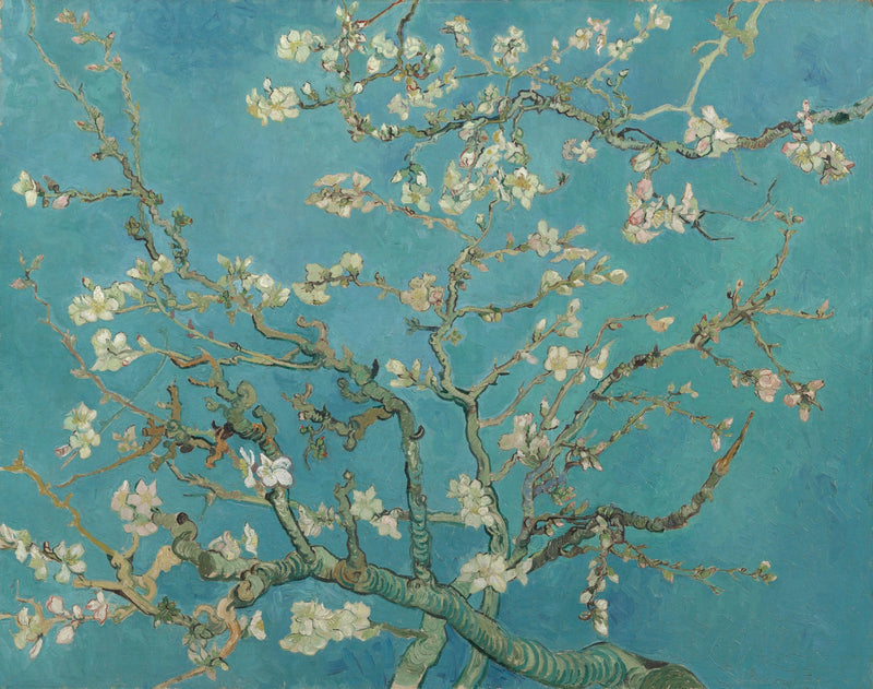 Manteli kukassa - Vincent van Gogh