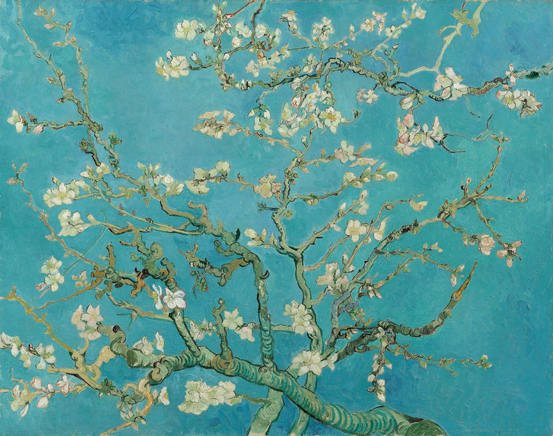 Manteli kukassa - Vincent van Gogh
