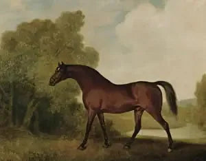 Ambrosio, ruunikkoinen ori, jonka omistaa Thomas Haworth - George Stubbs