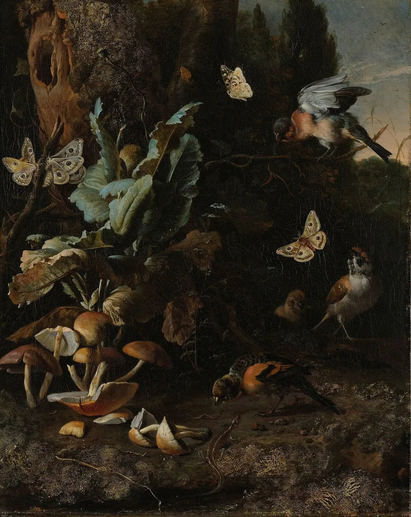 Eläimet ja kasvit - Melchior de Hondecoeter