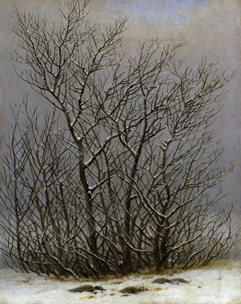 Puut ja pensaat lumen alla - Caspar David Friedrich