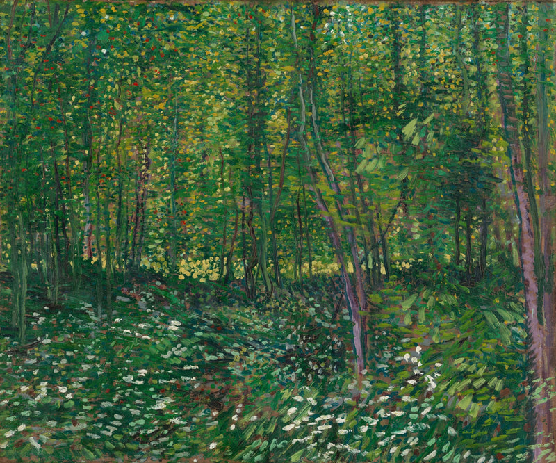 Puut - Vincent van Gogh