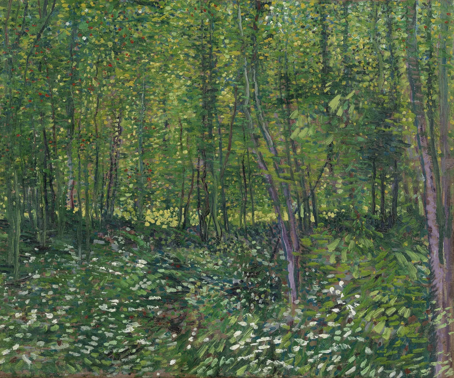 Puut ja aluskasvillisuus - Vincent van Gogh