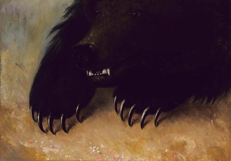 Grizzly-hain ja fyysiset piirteet - George Catlin