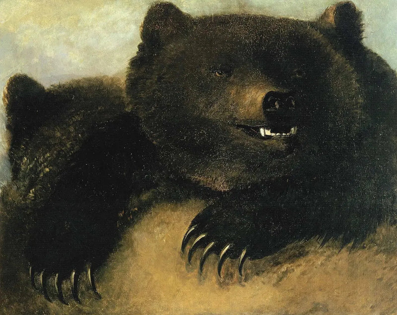 Grizzly-hain ja kasvonpiirteet - George Catlin