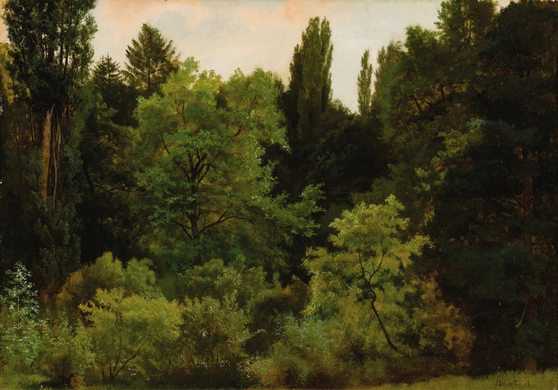 Kalliolla Kalliovuorilla - Albert Bierstadt