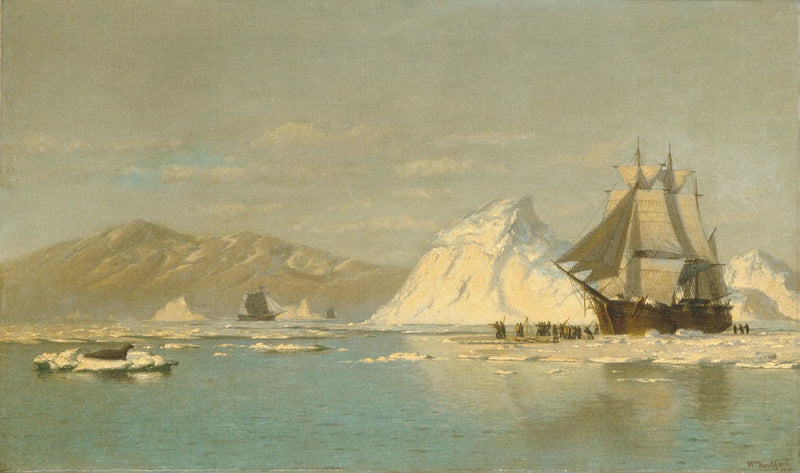 Grønlandin ulkopuolella — Valaspyynti vapaissa vesissä - William Bradford