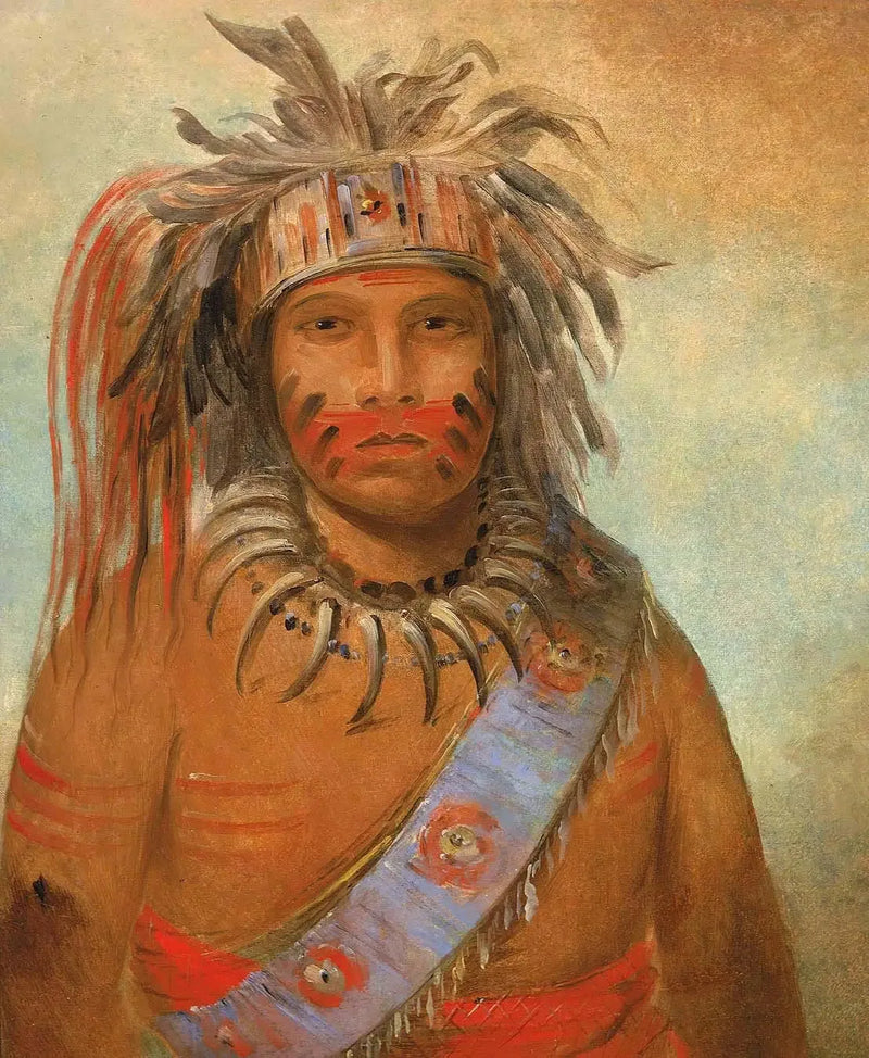 Au-nim-muck-kwa-um, myrskyn lintu - George Catlin