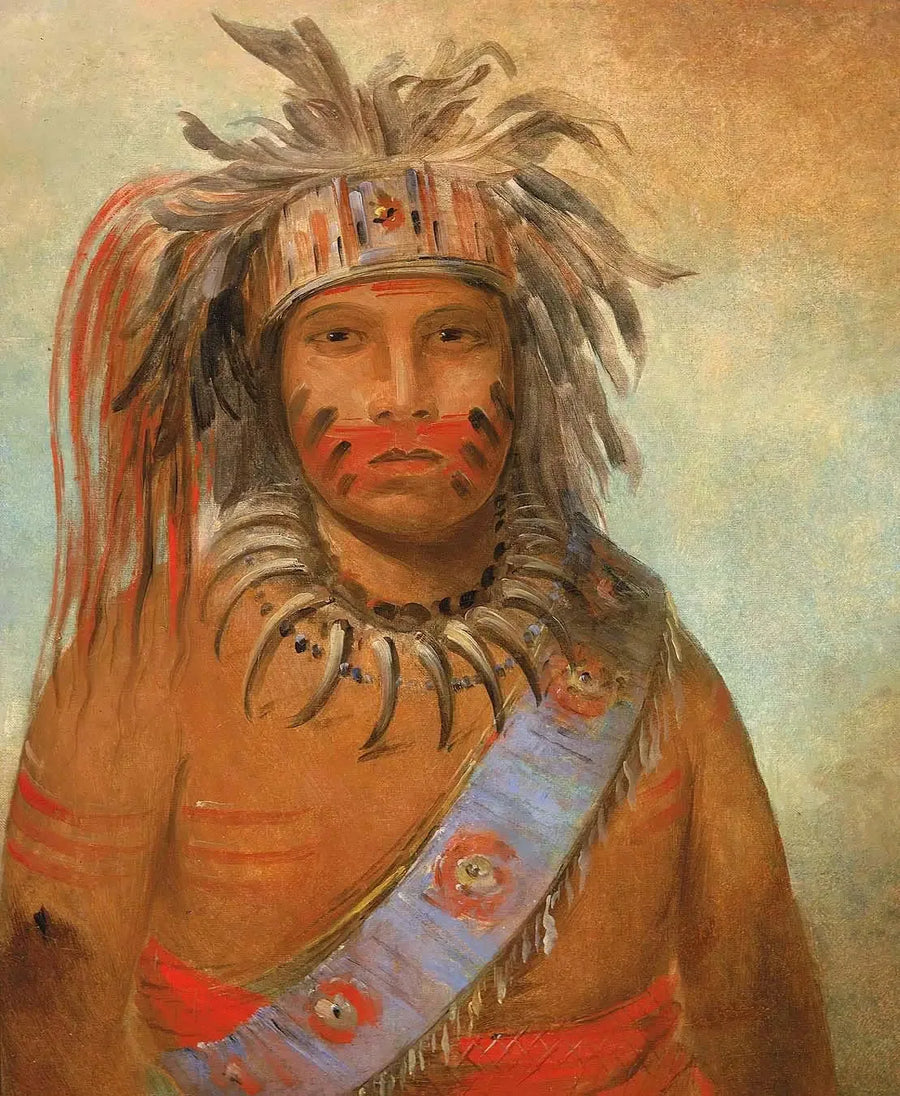 Au-nim-muck-kwa-um, myrskyn lintu - George Catlin