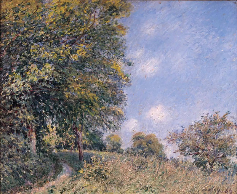 Metsän ympärillä, heinäkuun aamu - Alfred Sisley