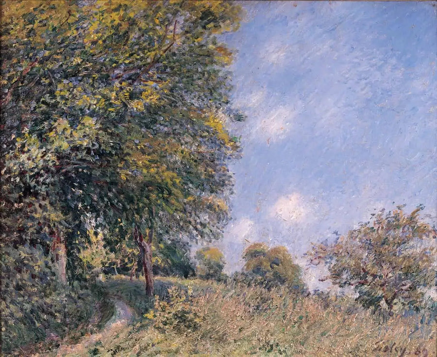 Metsän ympärillä, heinäkuun aamu - Alfred Sisley