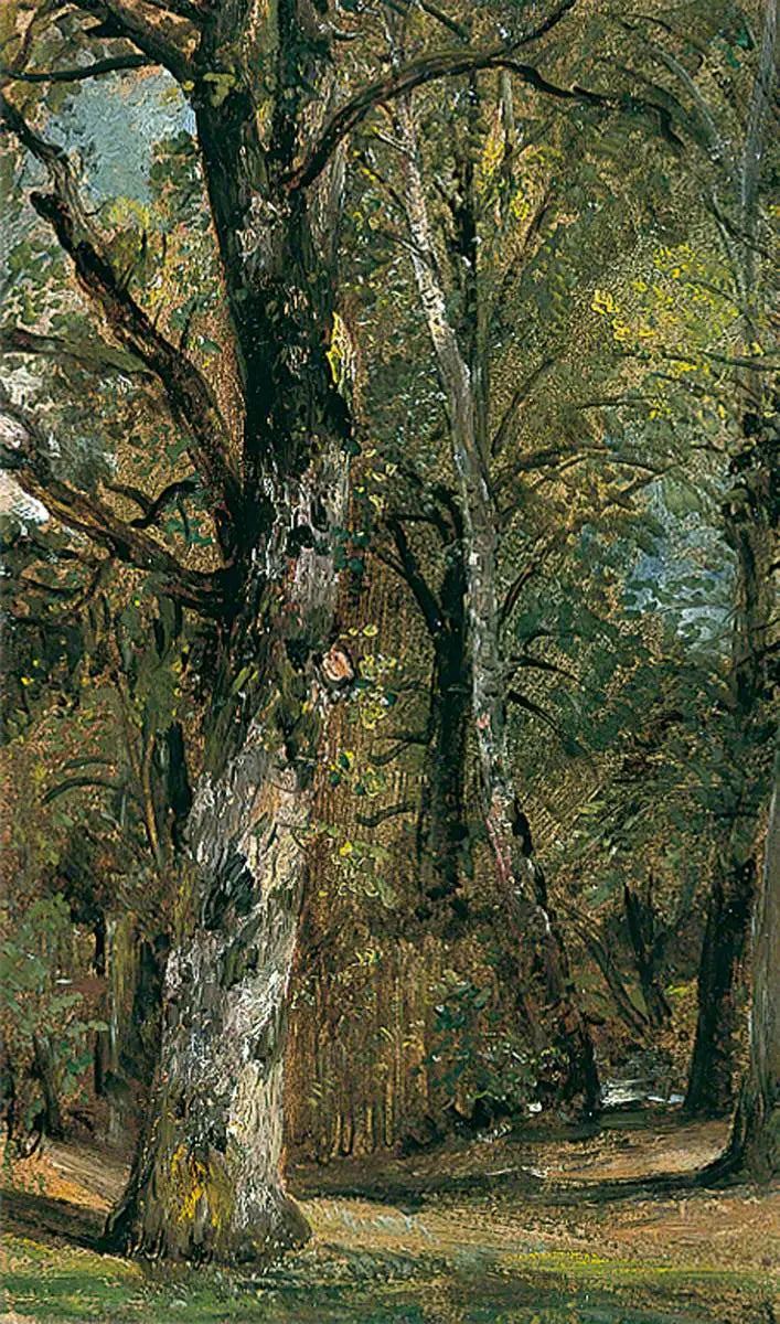 Puistokatu - John Constable